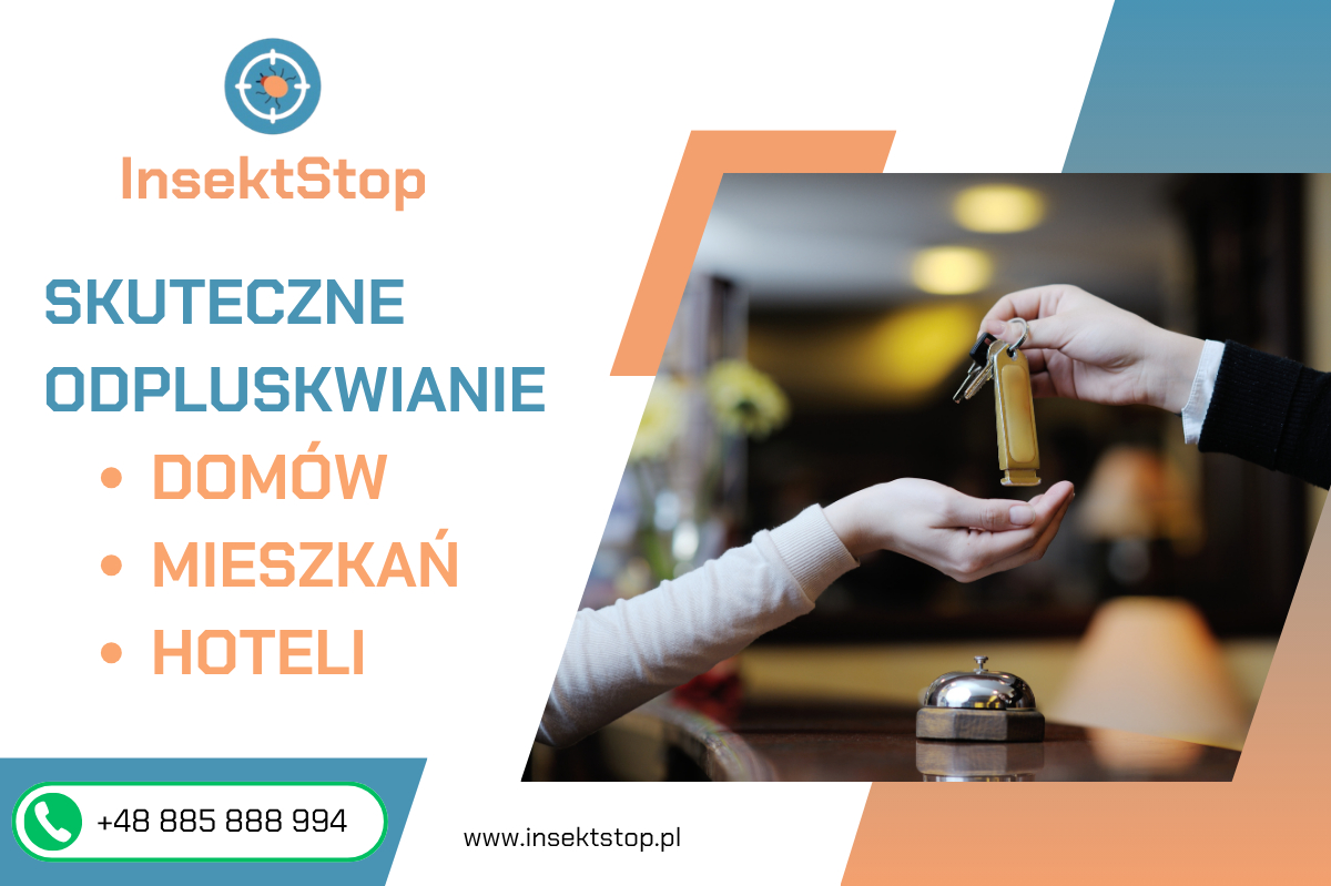odpluskwianie w warszawie